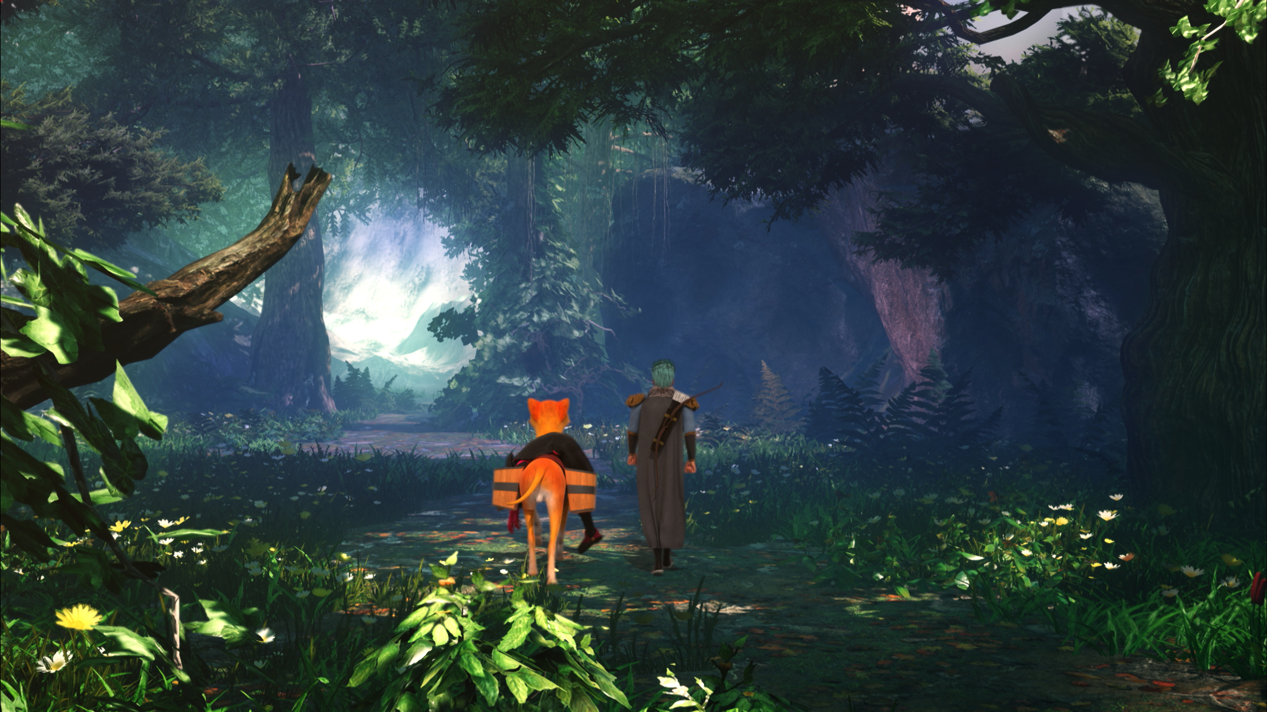 魔镜奇缘3剧照的剧照