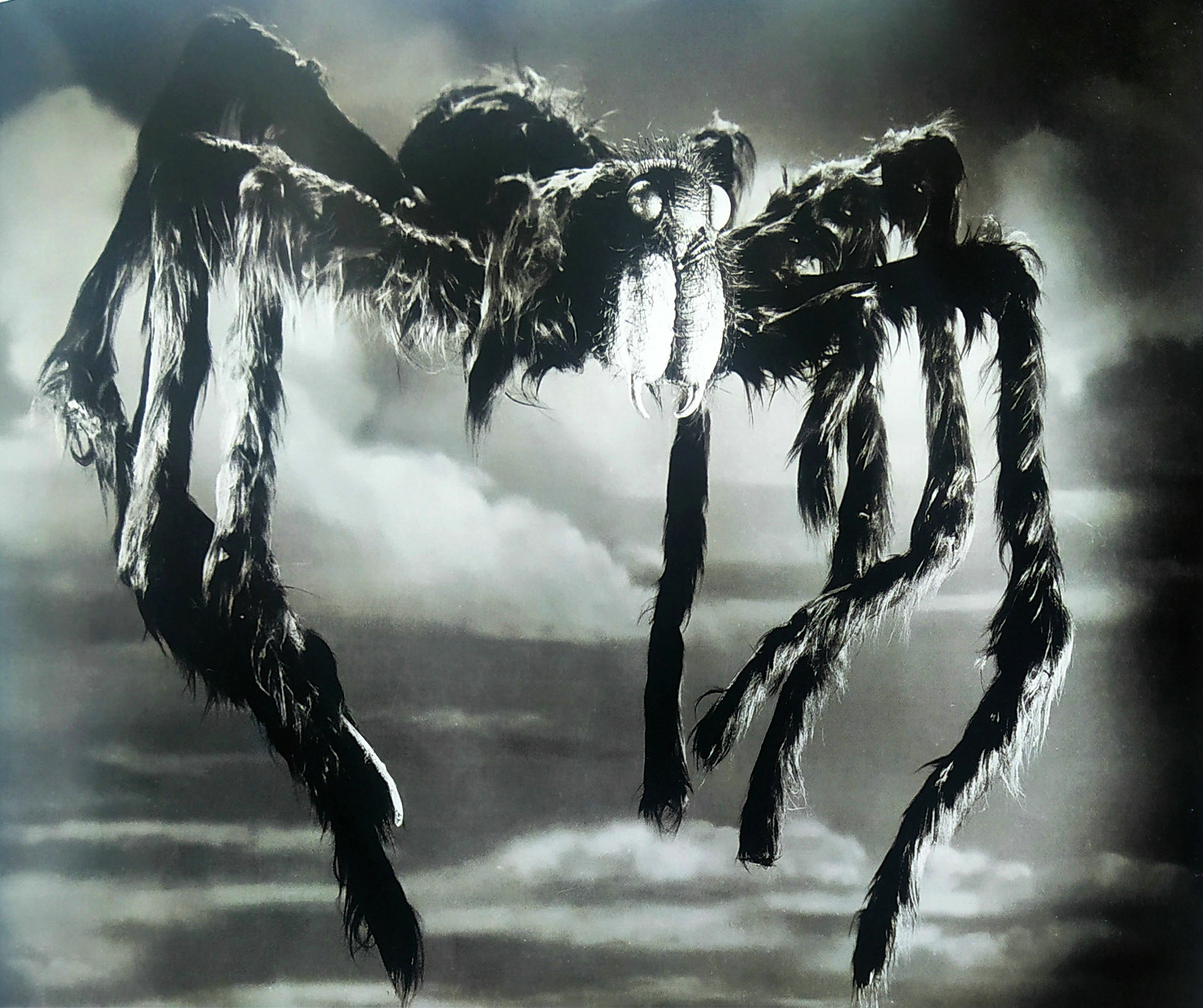 狼蛛剧照的剧照