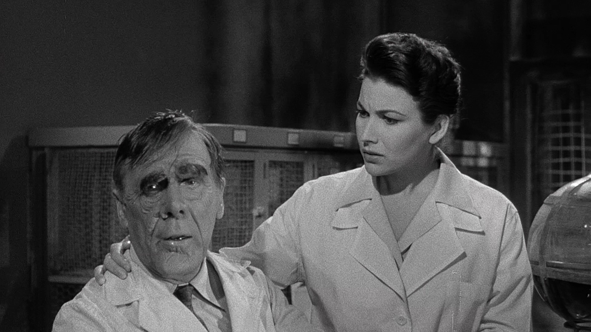 狼蛛剧照的剧照