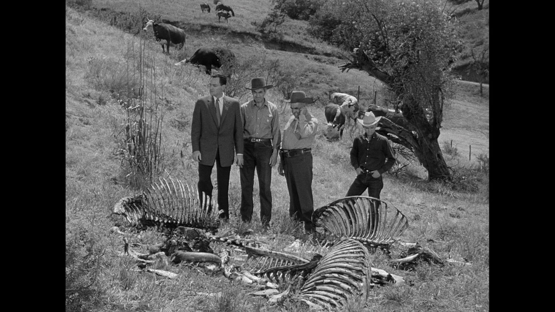 狼蛛剧照的剧照