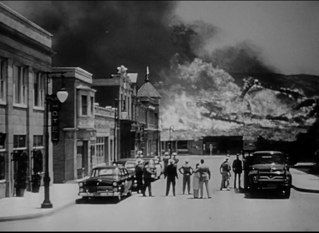 狼蛛剧照的剧照