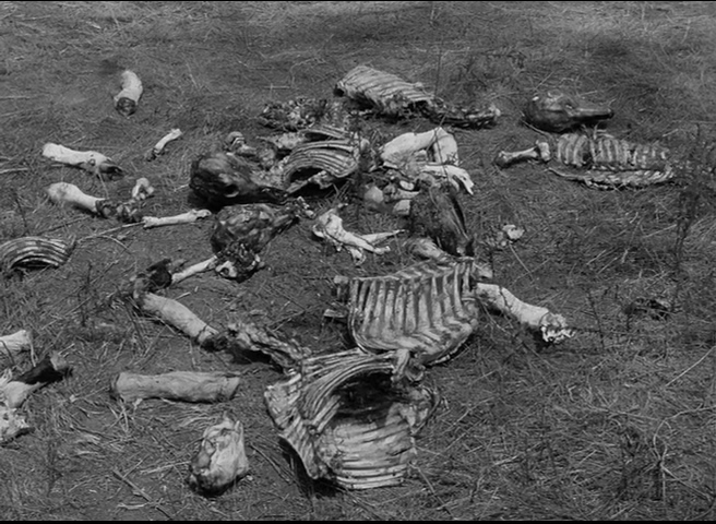 狼蛛剧照的剧照