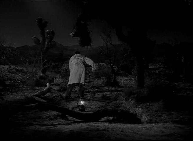 狼蛛剧照的剧照