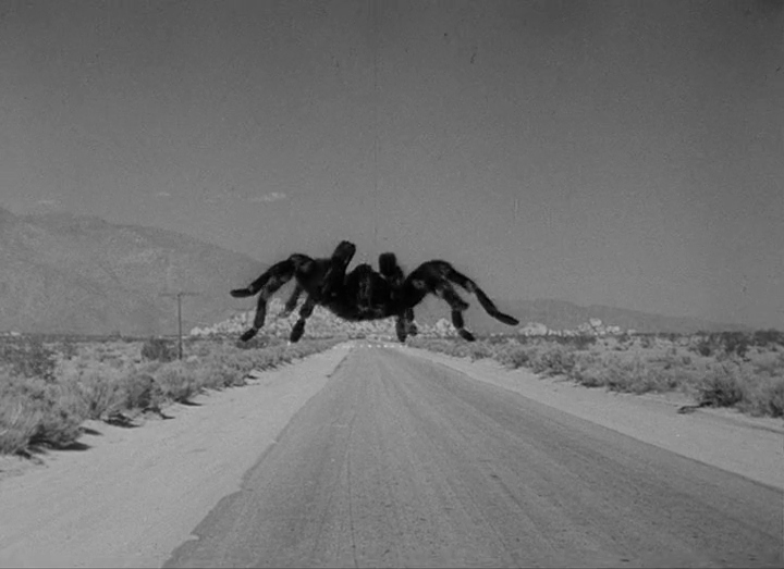 狼蛛剧照的剧照