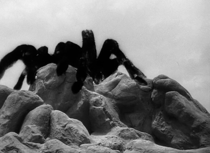 狼蛛剧照的剧照