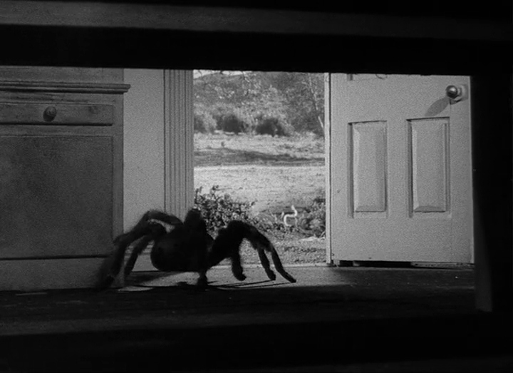 狼蛛剧照的剧照