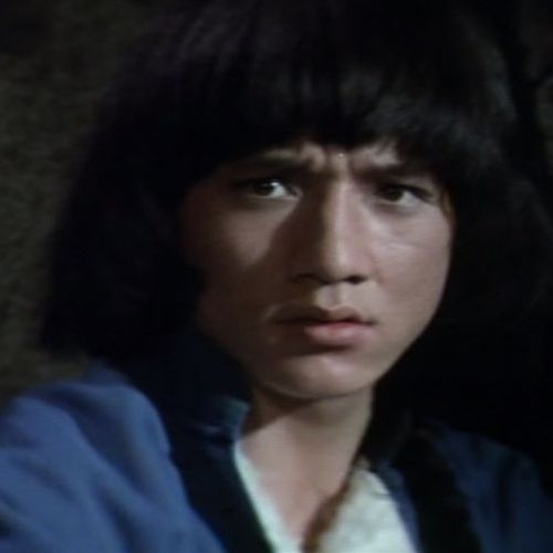 蛇鹤八步剧照的剧照