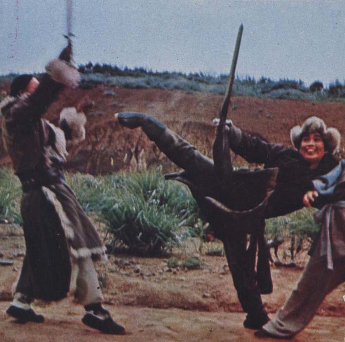 蛇鹤八步剧照的剧照