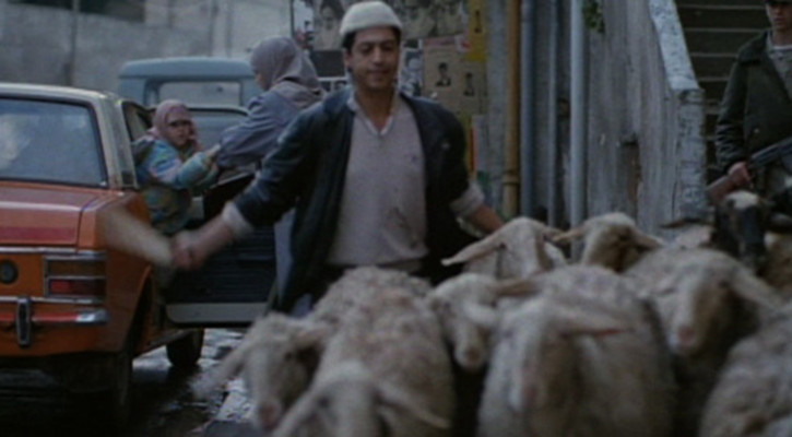 狂奔天涯剧照的剧照