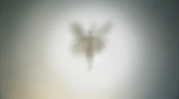 坐火车的女人剧照的剧照