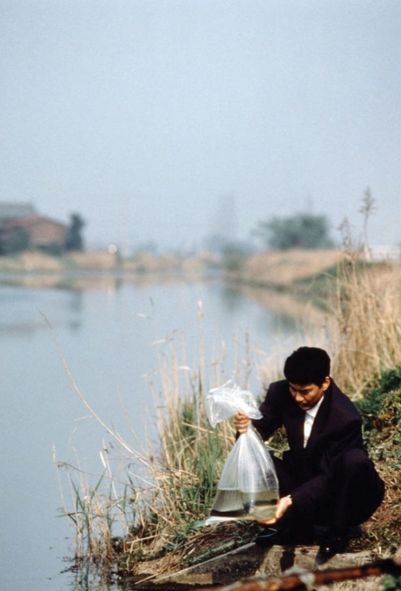 鳗鱼剧照的剧照
