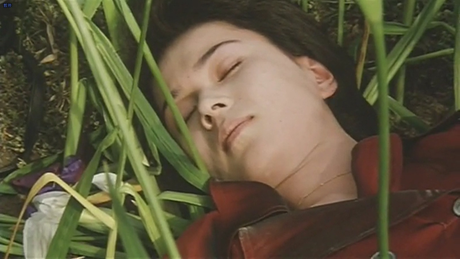 鳗鱼剧照的剧照