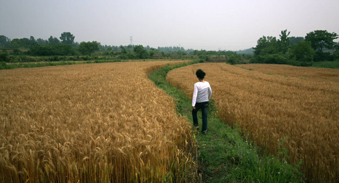 摇摇晃晃的人间剧照的剧照