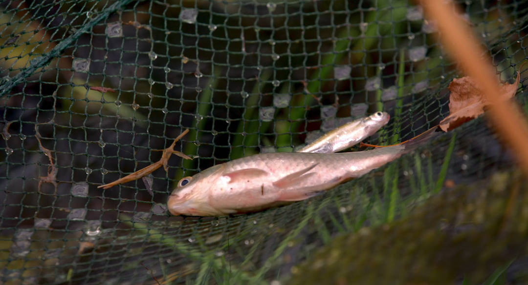 摇摇晃晃的人间剧照的剧照