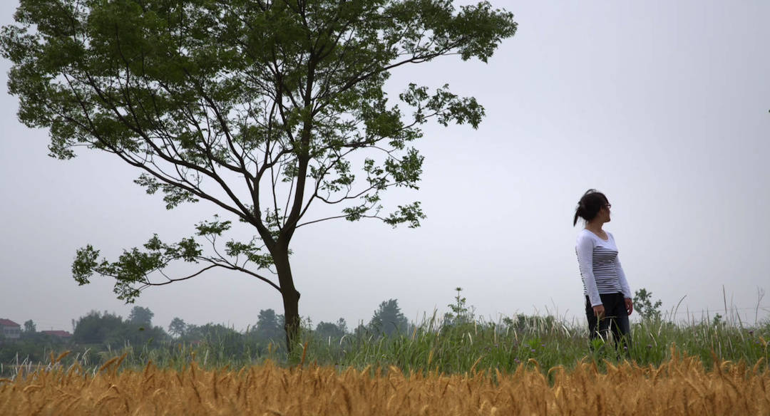 摇摇晃晃的人间剧照的剧照