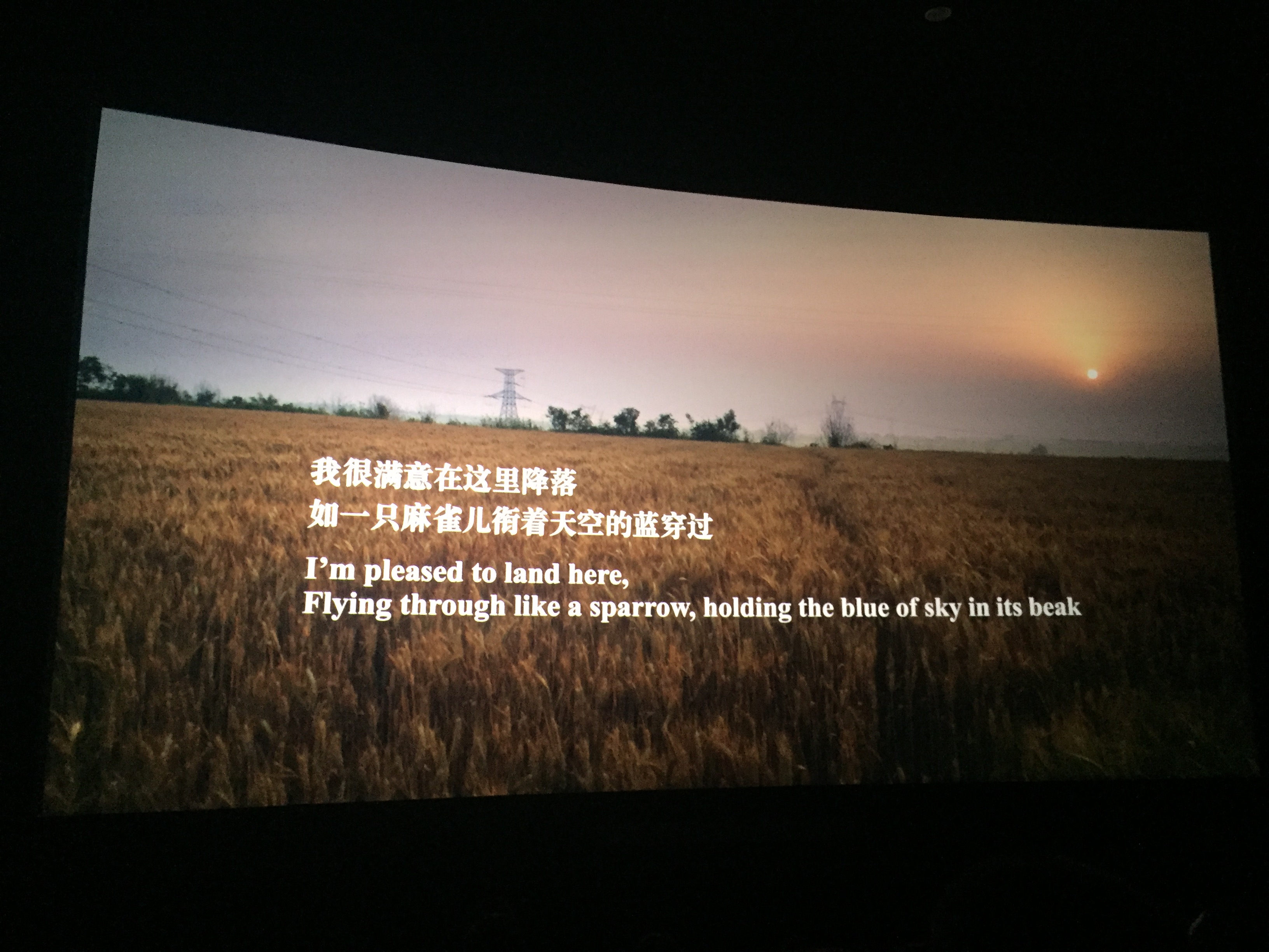 摇摇晃晃的人间剧照的剧照