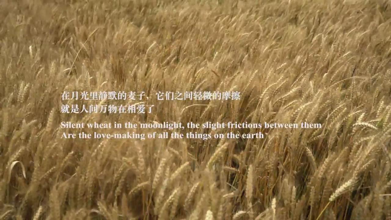 摇摇晃晃的人间剧照的剧照