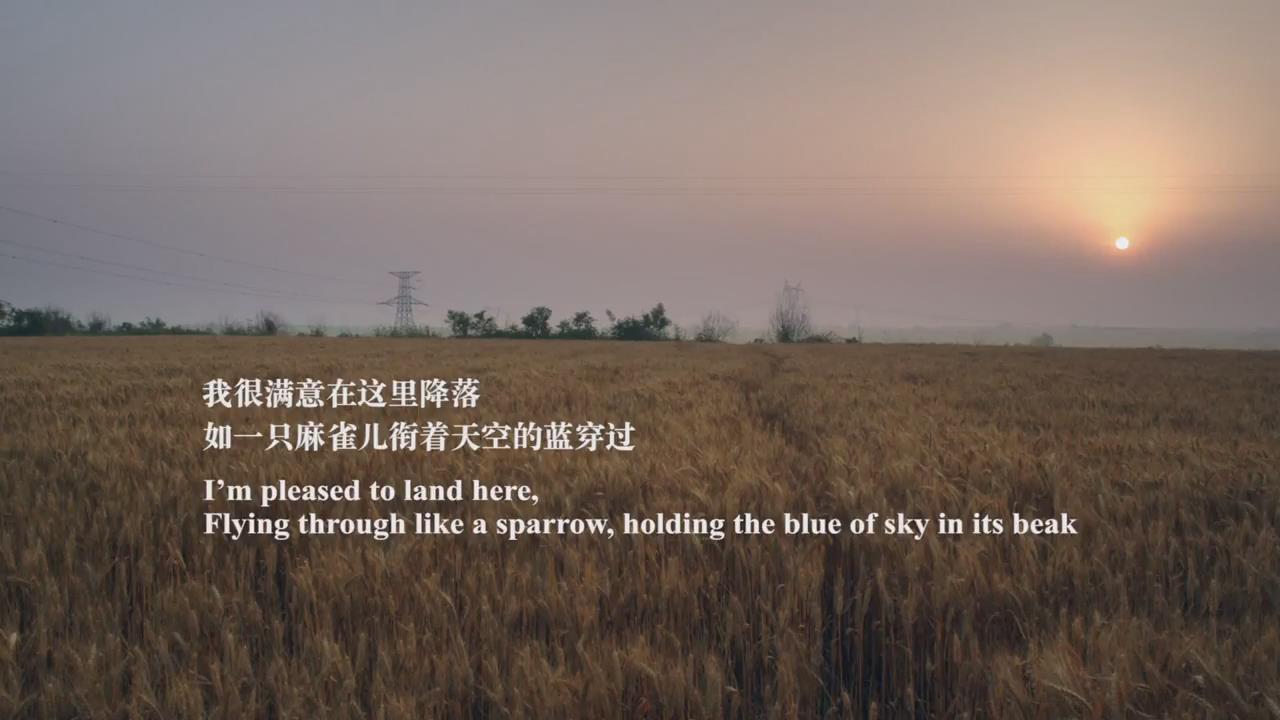 摇摇晃晃的人间剧照的剧照