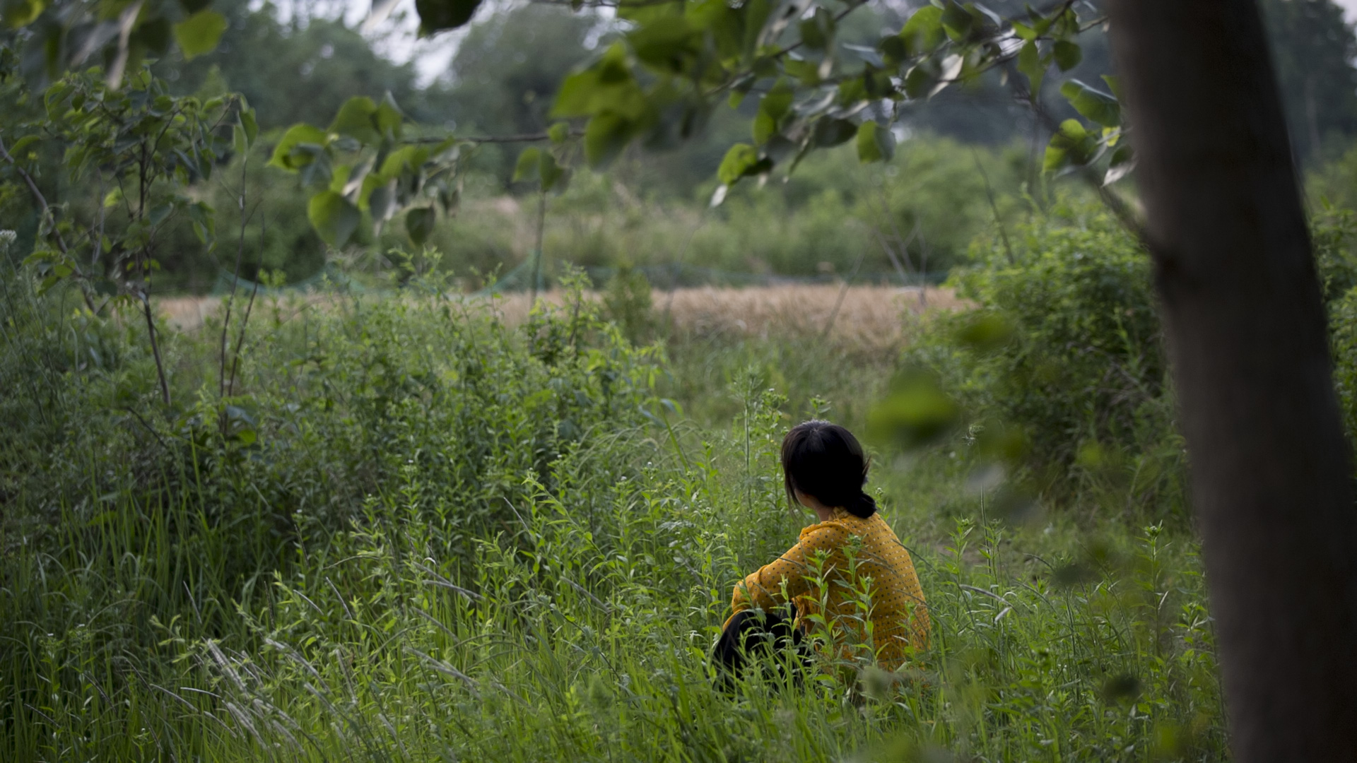 摇摇晃晃的人间剧照的剧照