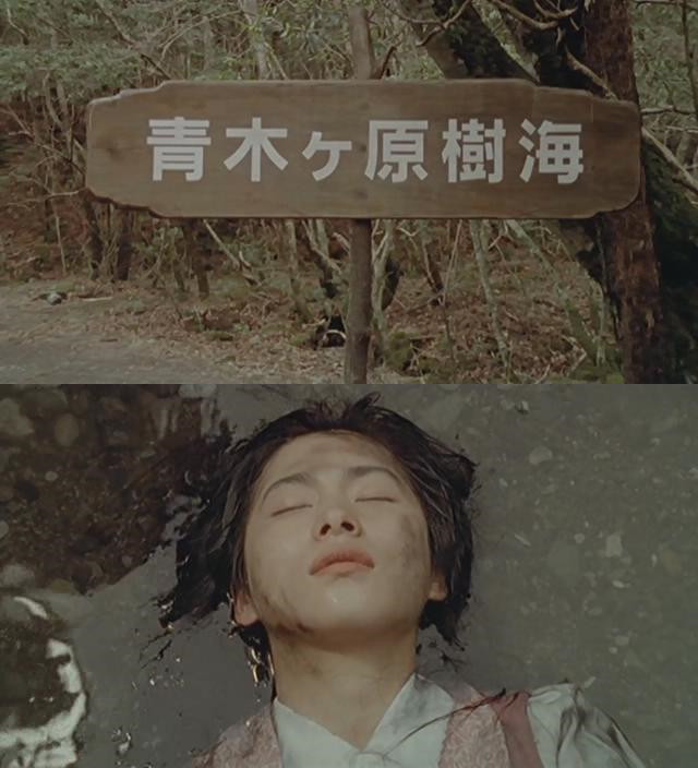 秘密花园剧照的剧照