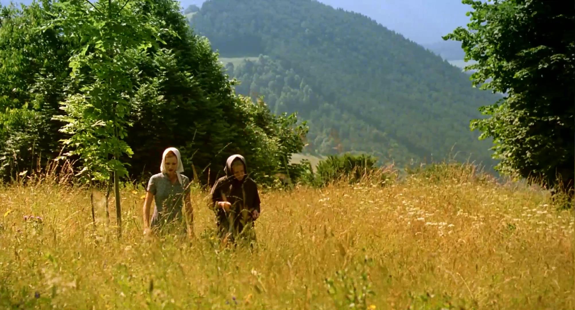 齐勒维剧照的剧照