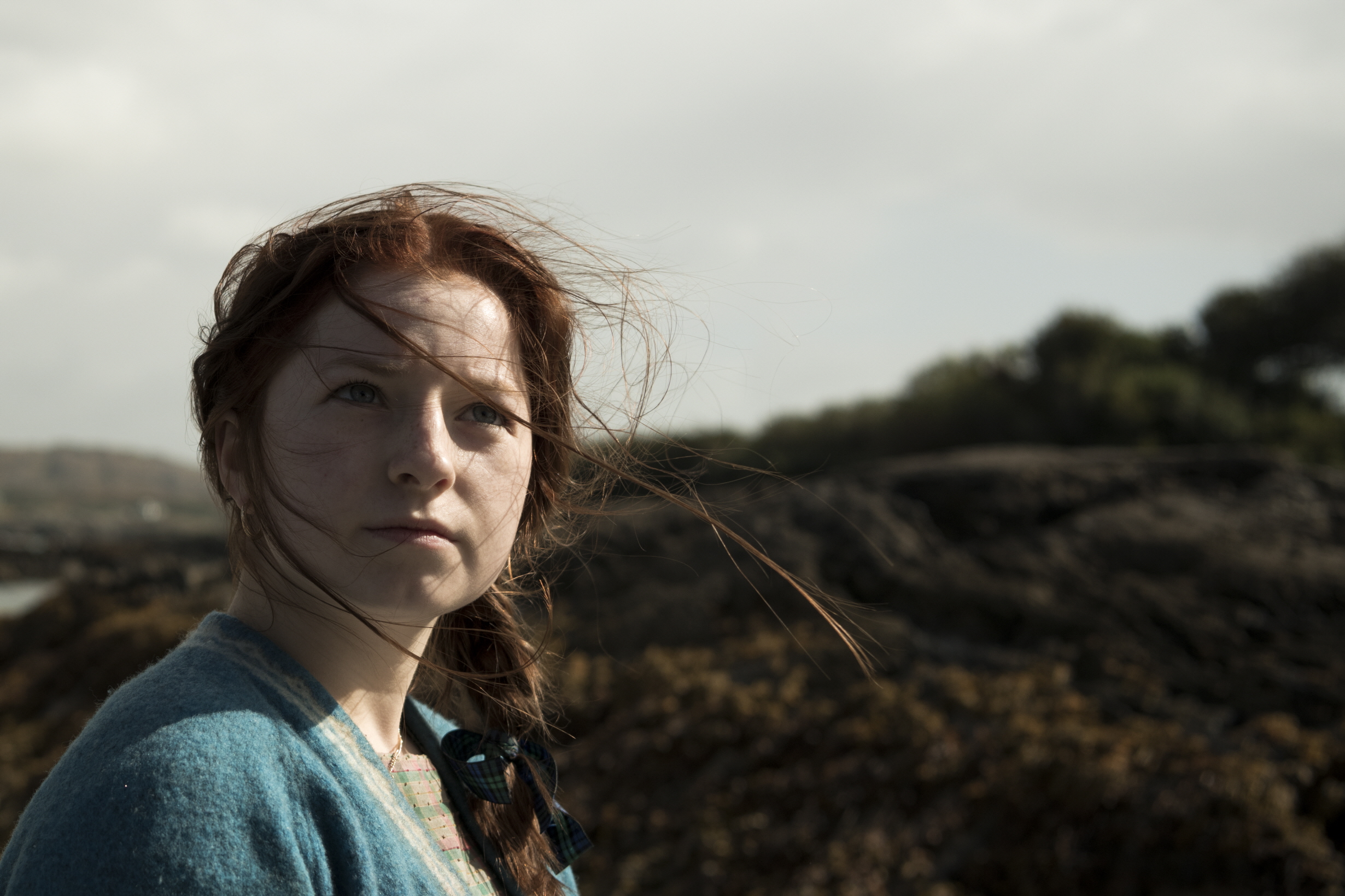 逆风蝶舞剧照的剧照