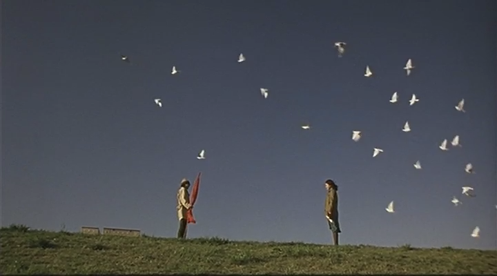 爱我别走剧照的剧照