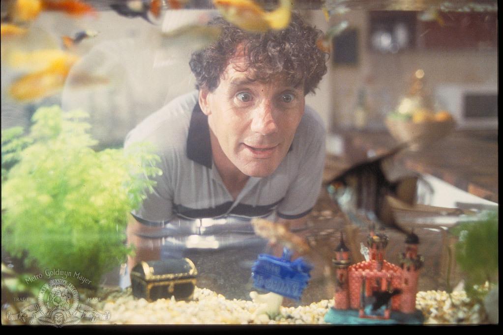 一条叫旺达的鱼剧照的剧照