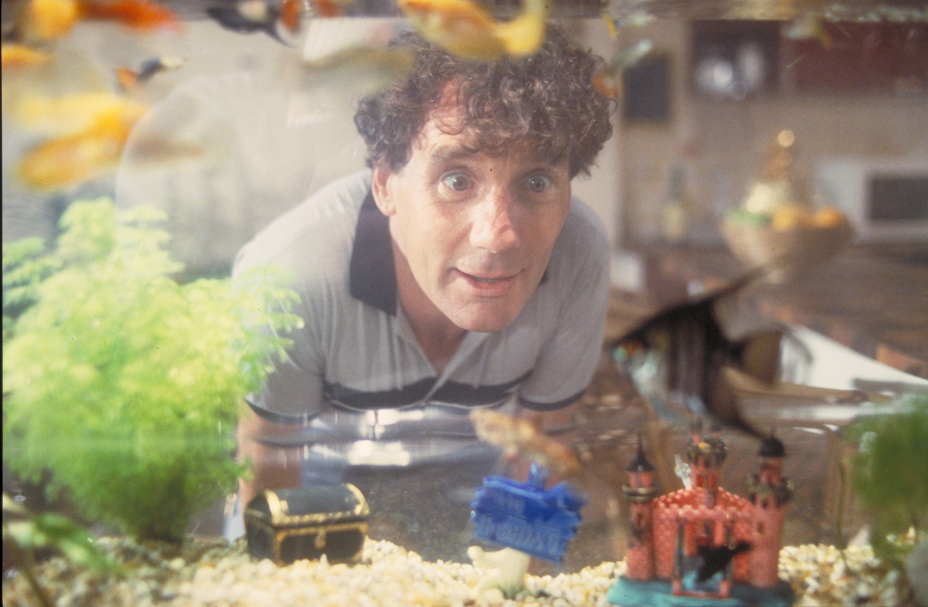 一条叫旺达的鱼剧照的剧照