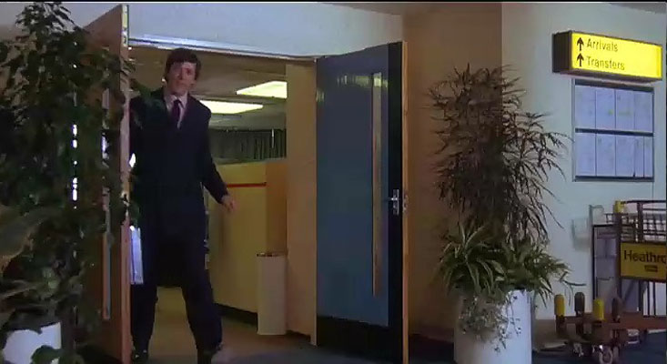 一条叫旺达的鱼剧照的剧照