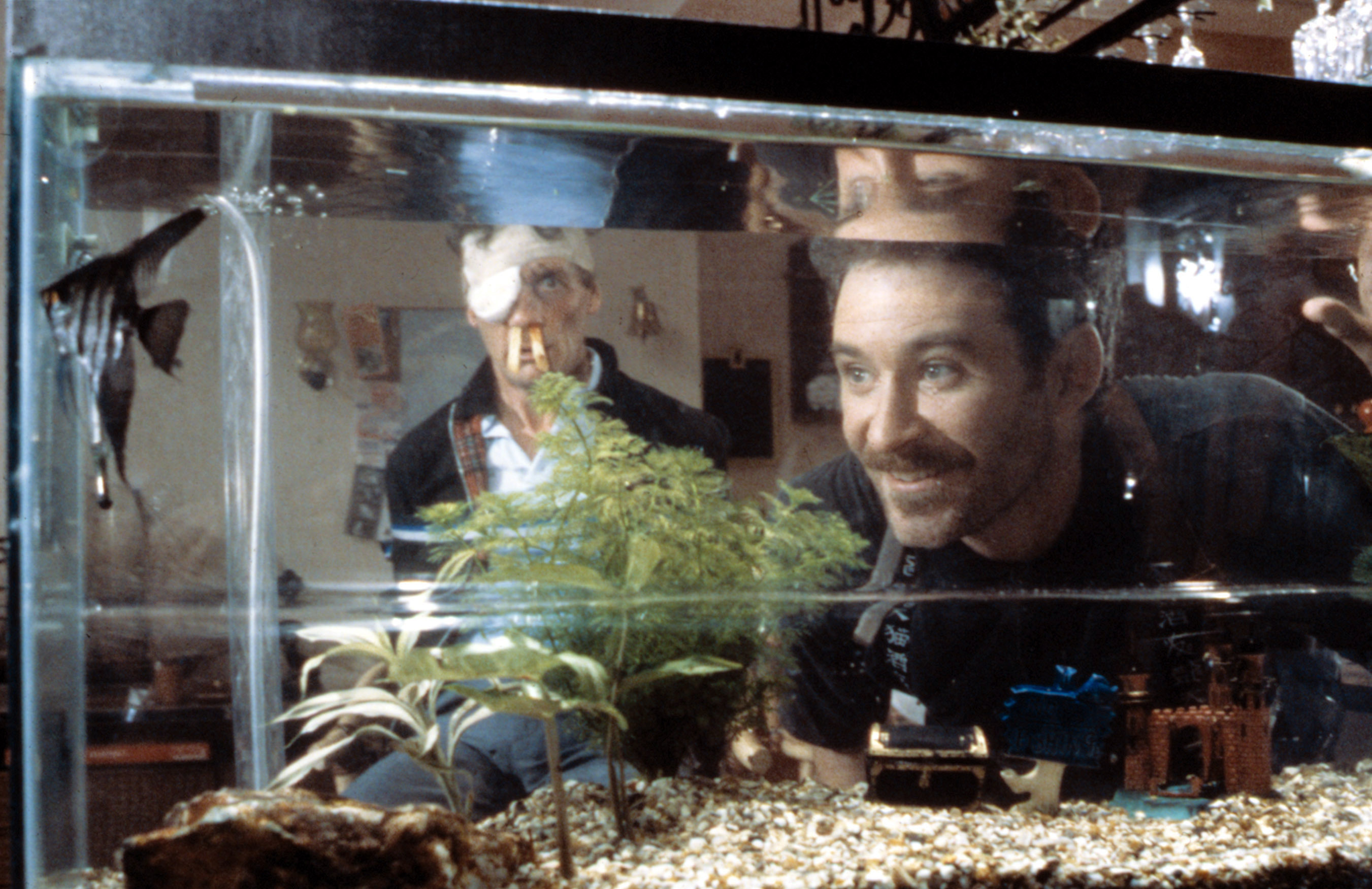 一条叫旺达的鱼剧照的剧照