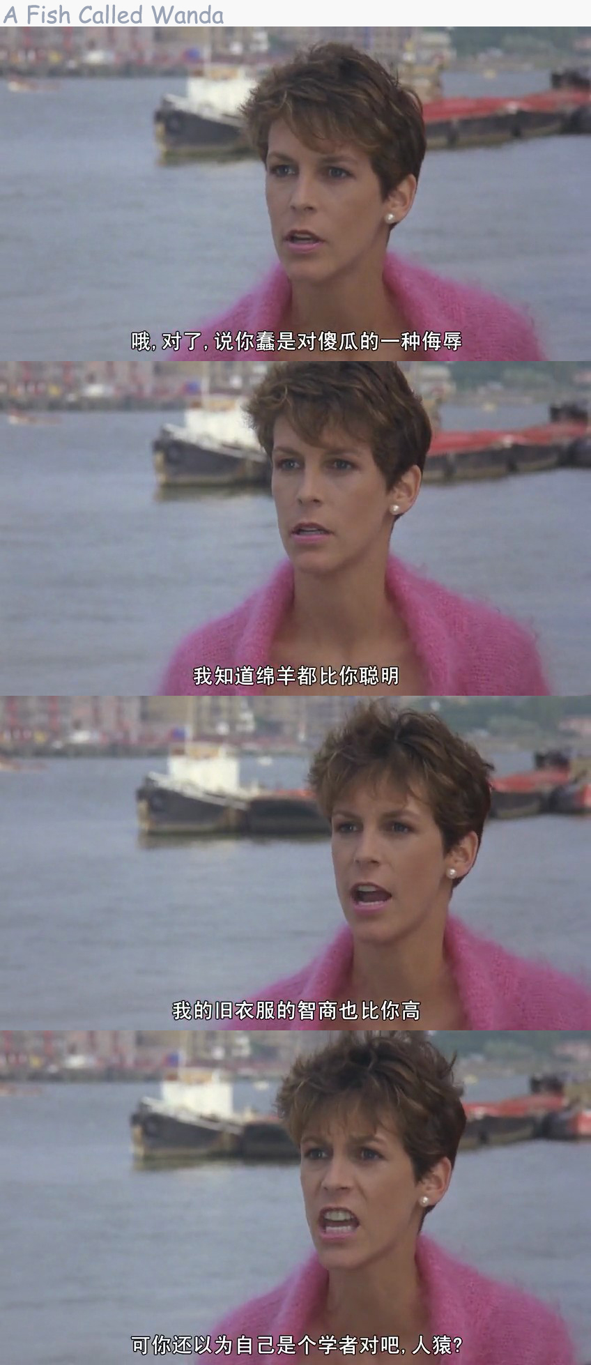 一条叫旺达的鱼剧照的剧照