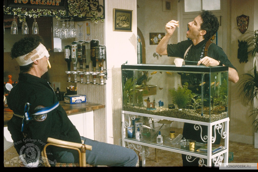 一条叫旺达的鱼剧照的剧照