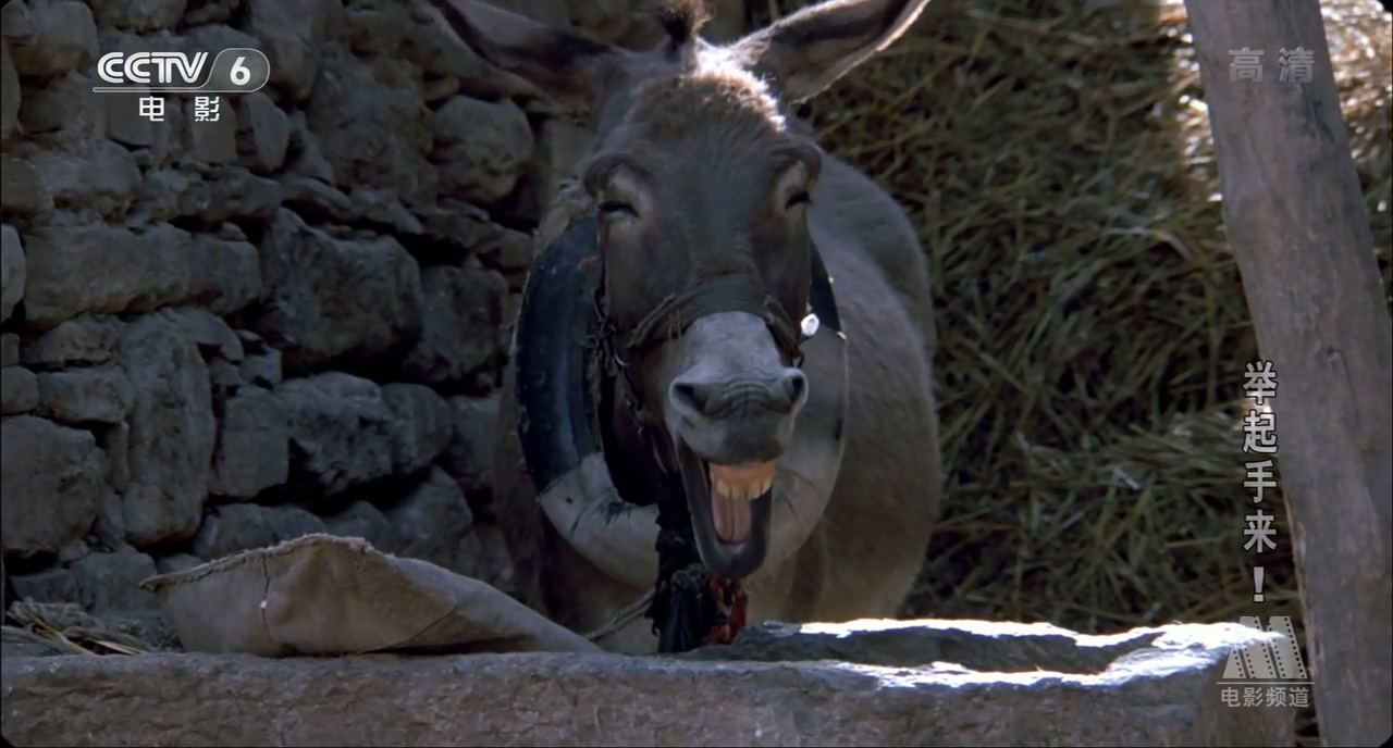 举起手来！剧照的剧照