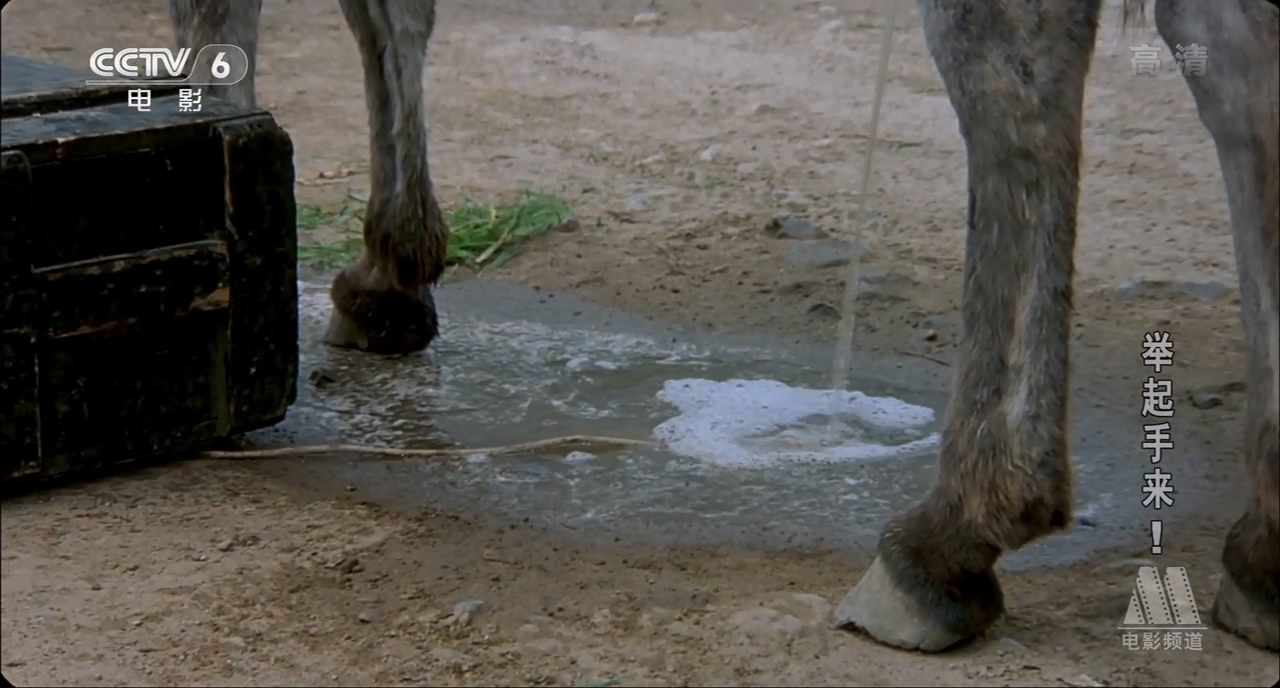 举起手来！剧照的剧照