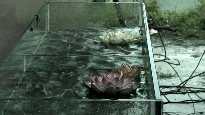 春风沉醉的夜晚剧照的剧照