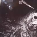 黑玫瑰公寓剧照