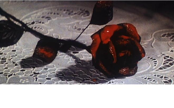 黑玫瑰公寓剧照的剧照