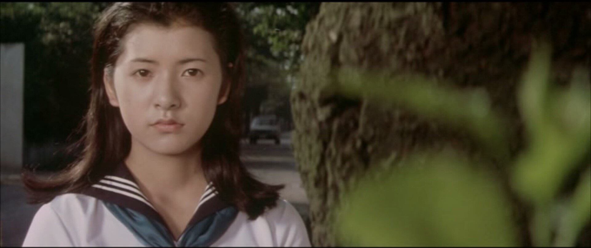 高中女生剧照的剧照