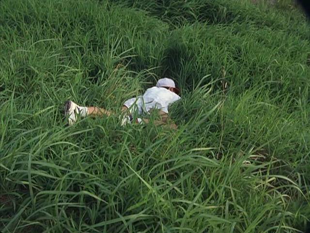 夏天的大人们剧照的剧照