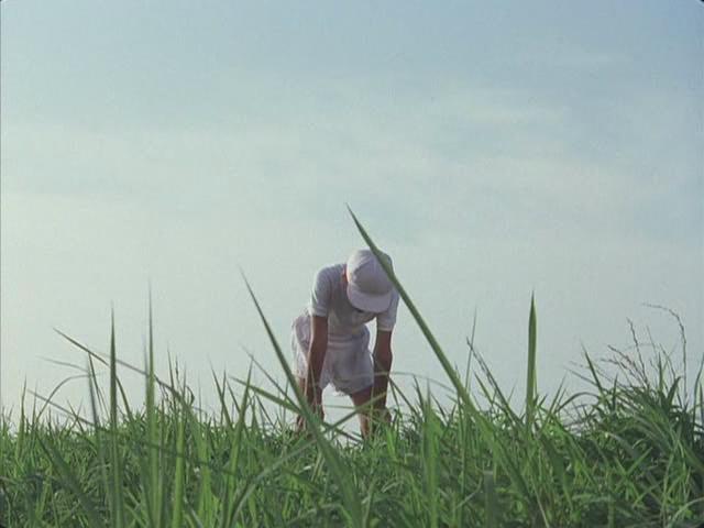 夏天的大人们剧照的剧照