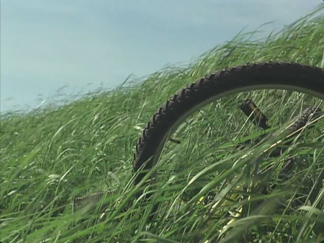 夏天的大人们剧照的剧照