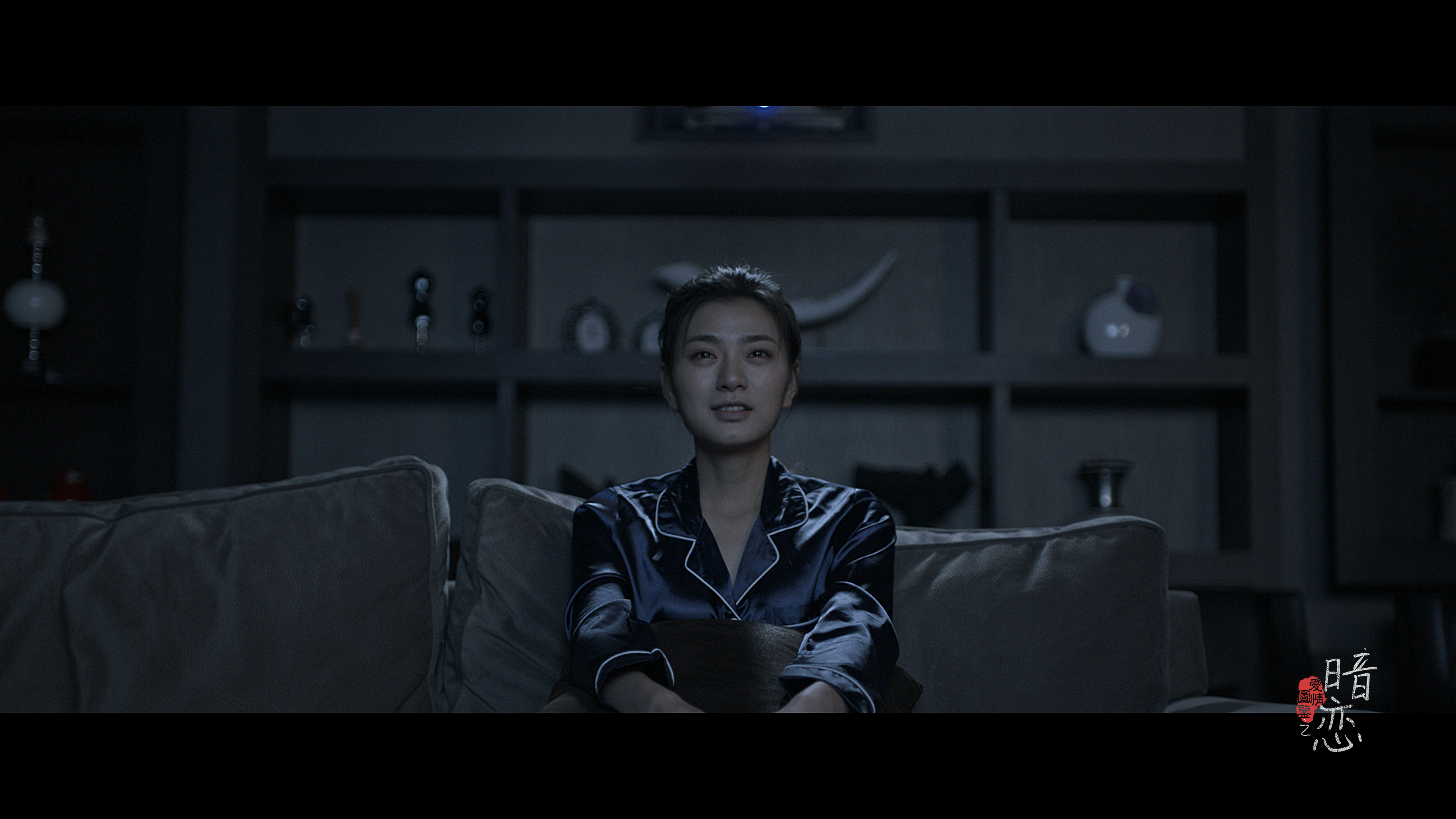 爱情图鉴之暗恋剧照的剧照