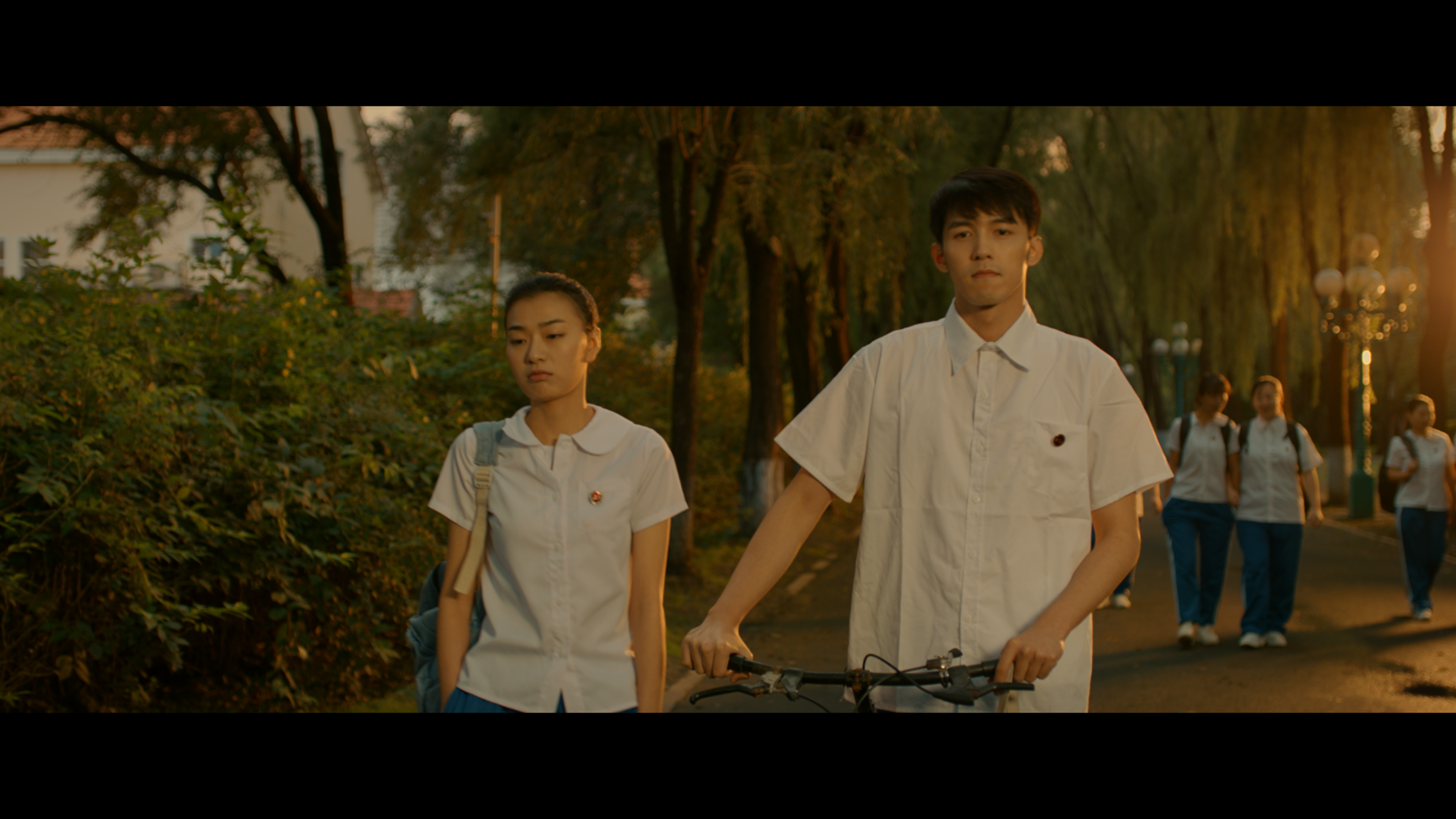 爱情图鉴之暗恋剧照的剧照