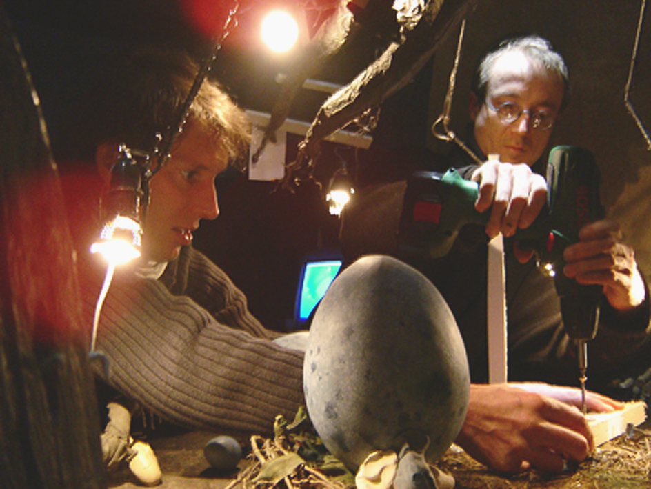 巢穴卫士剧照的剧照