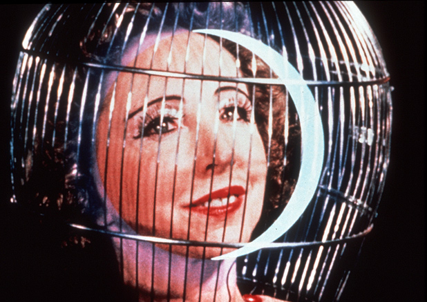 极乐大厦揭幕剧照的剧照