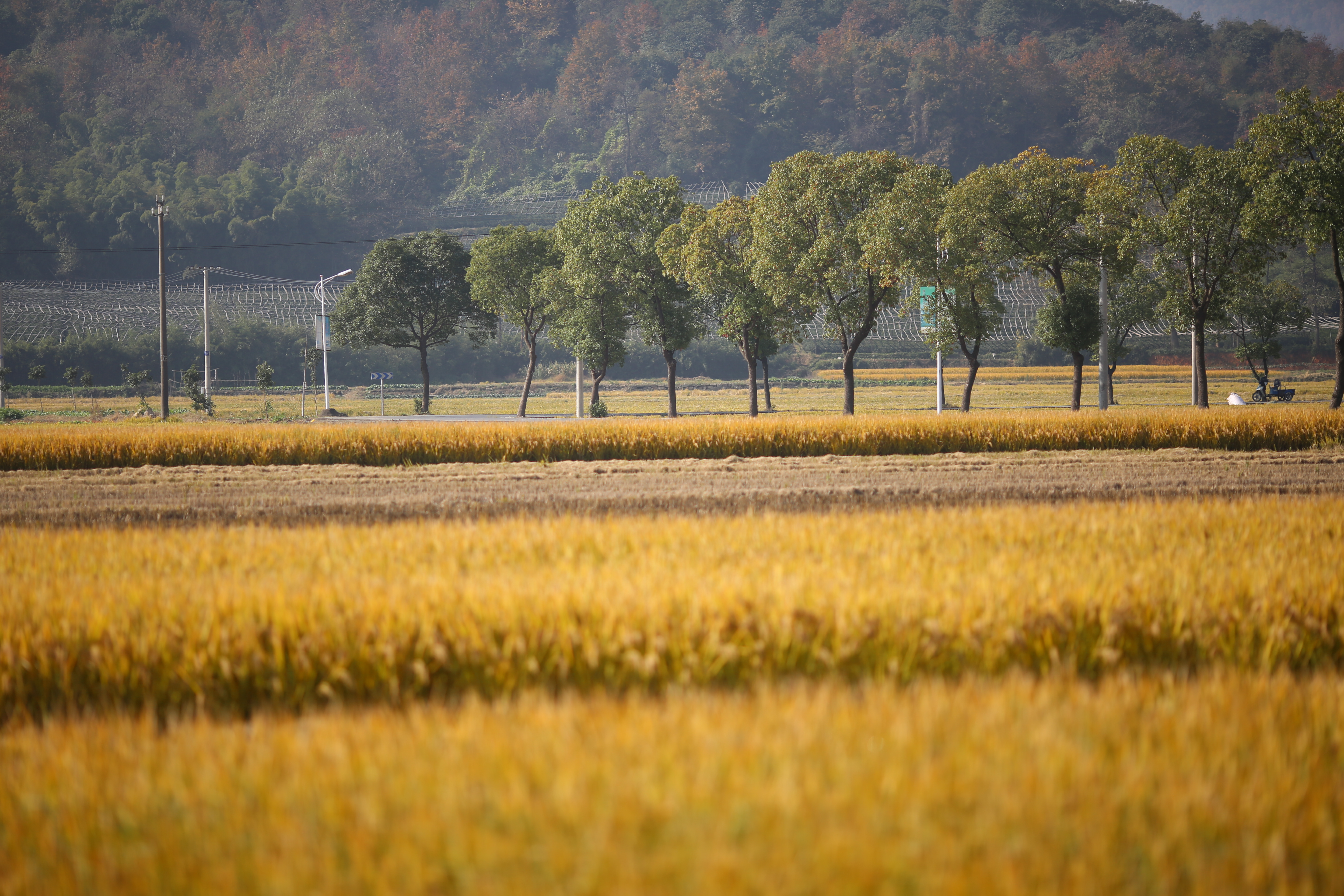 在别处剧照的剧照