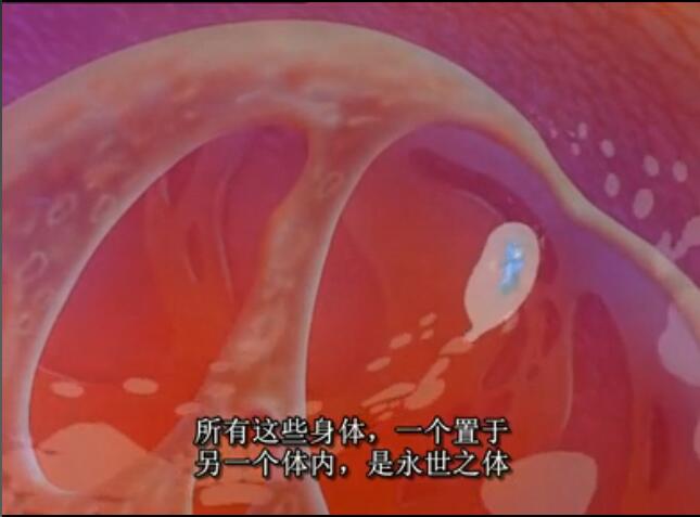 甘达星人剧照的剧照