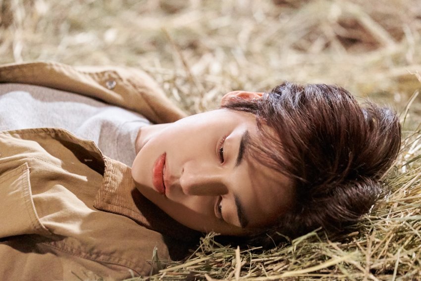 文集剧照的剧照