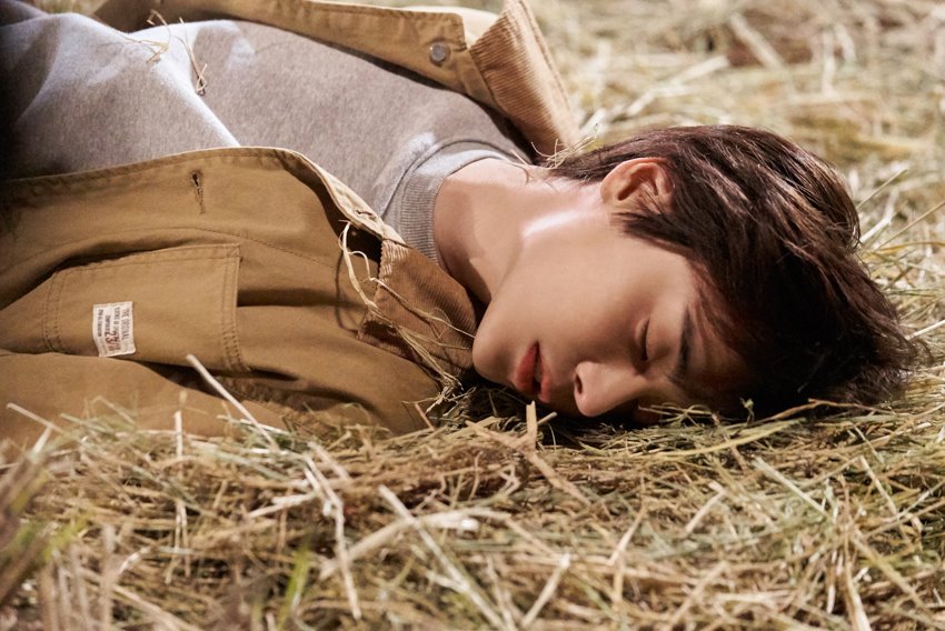 文集剧照的剧照